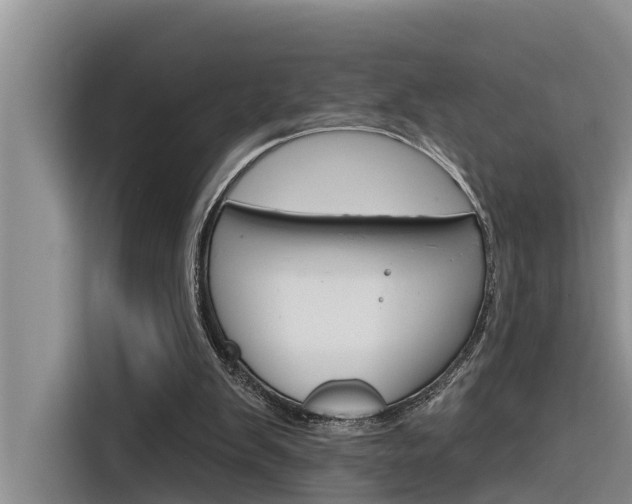 X0000116340103200912011026