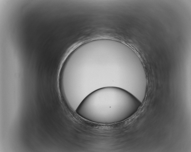 X0000116340104200912011026