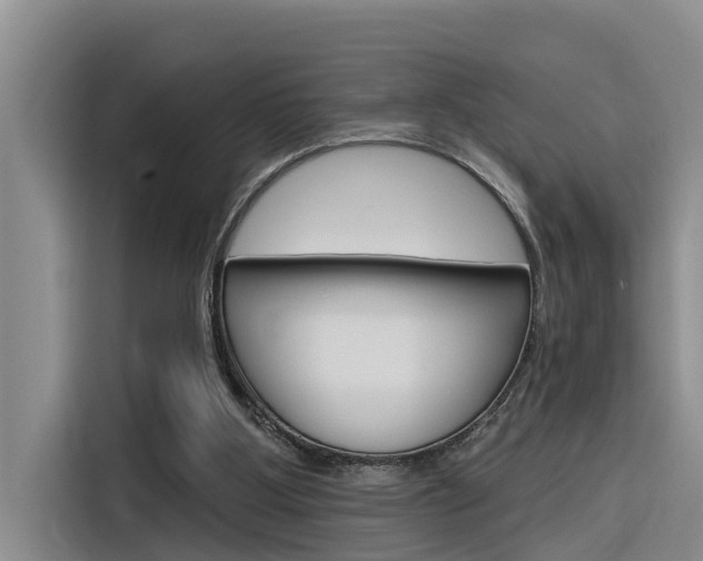 X0000116340107200912011026