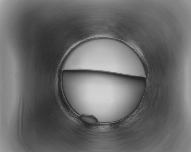 X0000116340108200912011026
