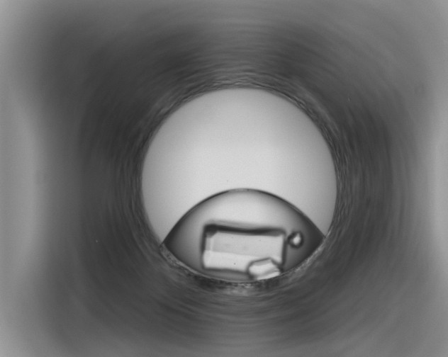 X0000116340124200912011026