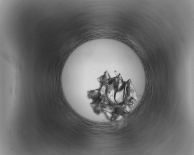 X0000116340125200912011026