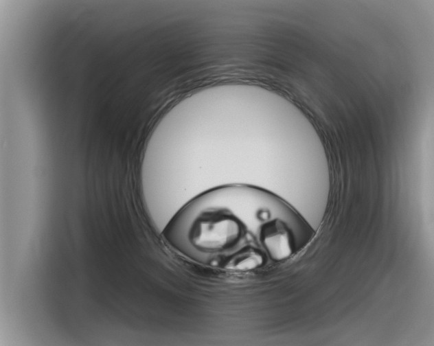 X0000116340128200912011026