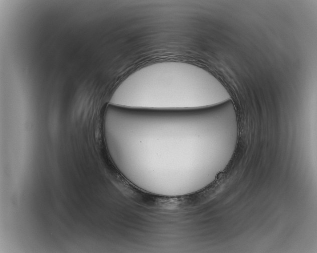 X0000116340131200912011026