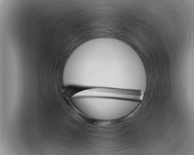X0000116340132200912011026