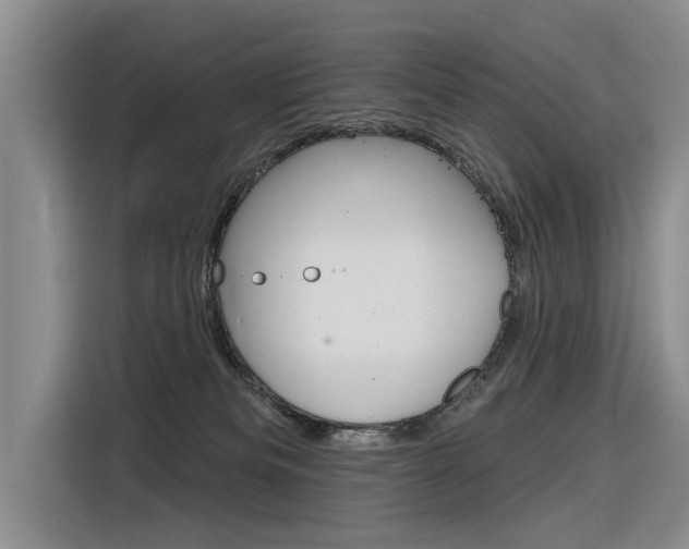 X0000116340133200912011026
