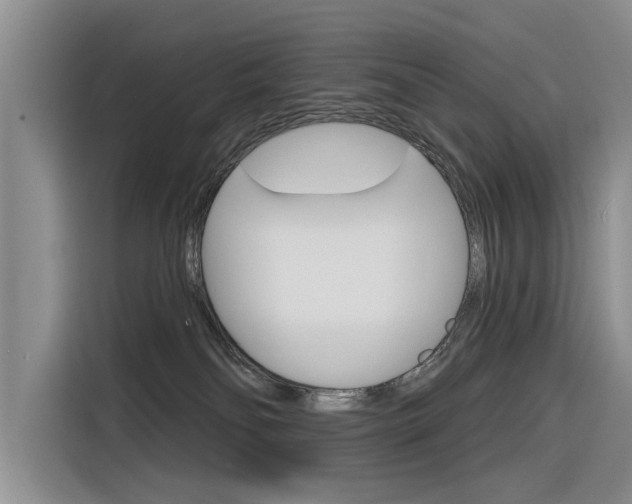 X0000116340134200912011026