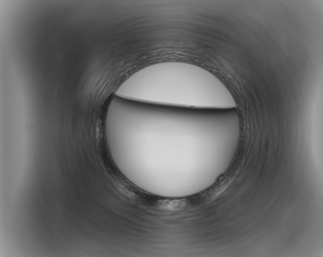 X0000116340135200912011026