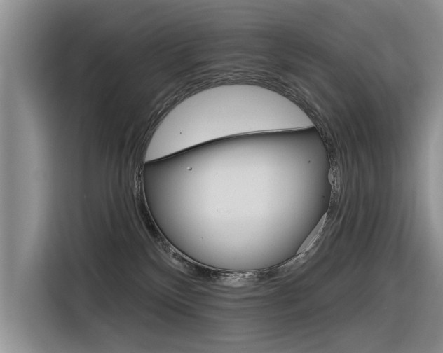 X0000116340136200912011026