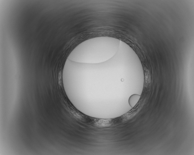 X0000116340138200912011026