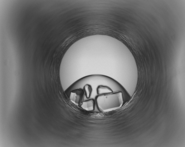X0000116340140200912011026