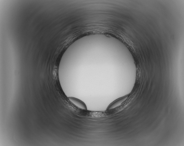 X0000116340141200912011026
