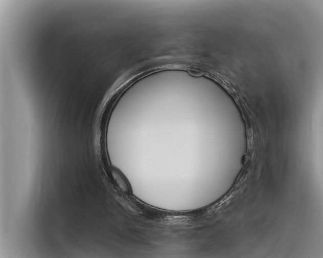 X0000116340150200912011025