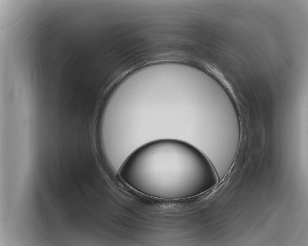 X0000116340154200912011025