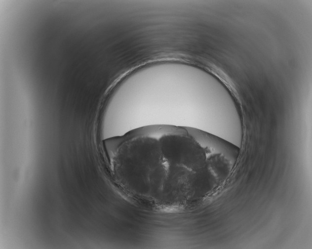 X0000116340155200912011025