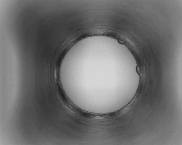 X0000116340166200912011025