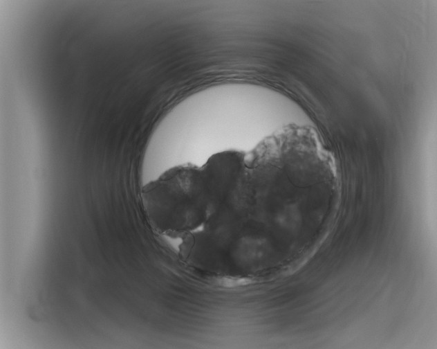 X0000116340169200912011025