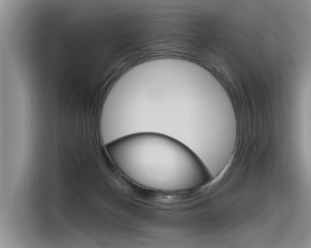 X0000116340174200912011025