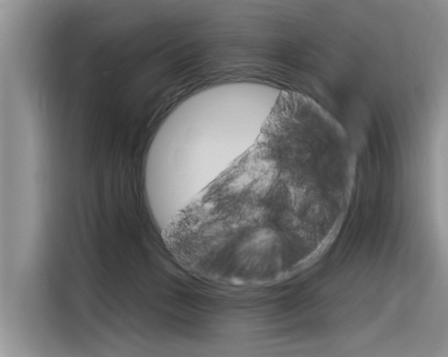 X0000116340175200912011025