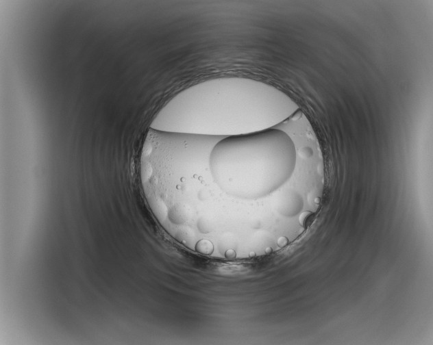 X0000116340183200912011025