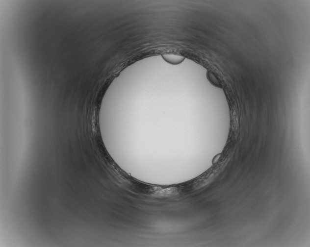 X0000116340185200912011026