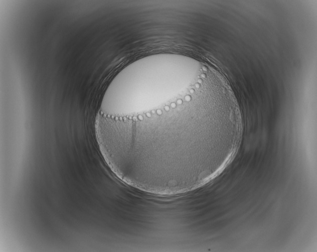 X0000116340191200912011026