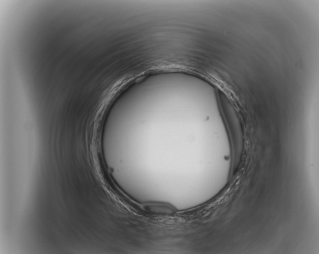 X0000116340193200912011025