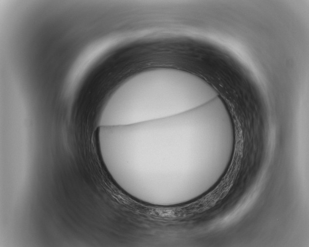 X0000116340194200912011025