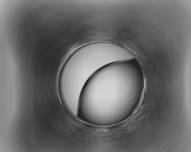 X0000116340195200912011025