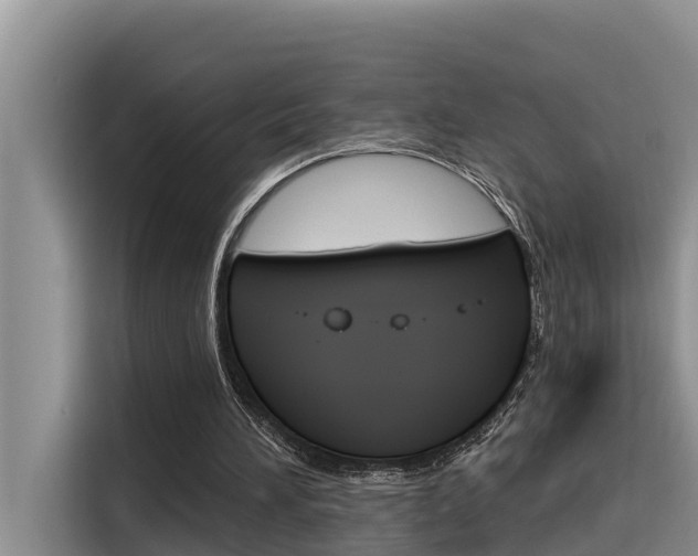 X0000116340196200912011025