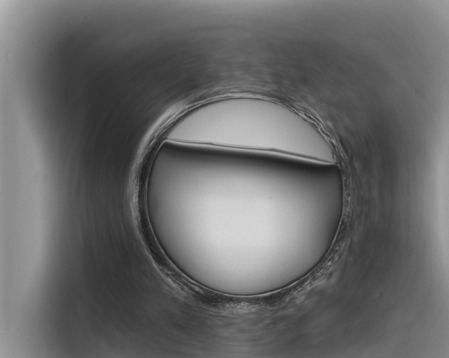 X0000116340197200912011025
