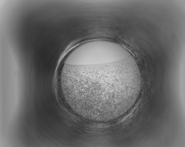 X0000116340198200912011025
