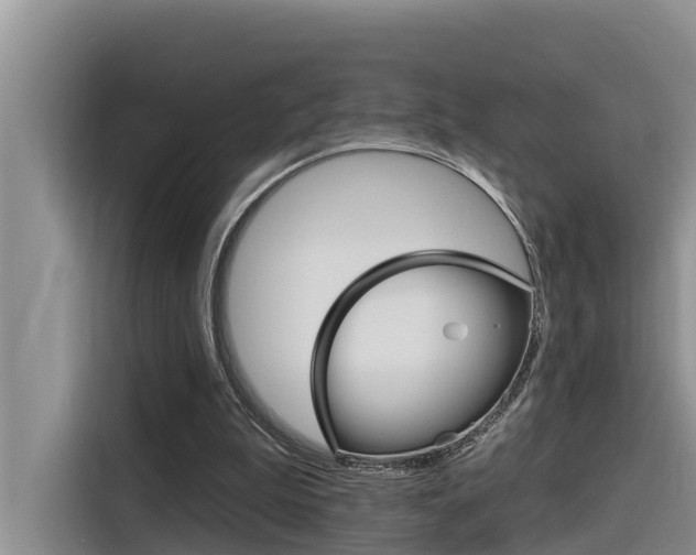 X0000116340199200912011025