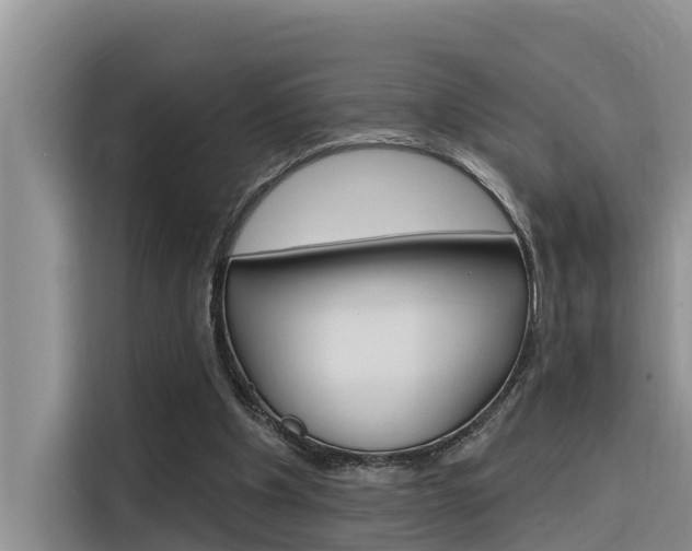 X0000116340201200912011025