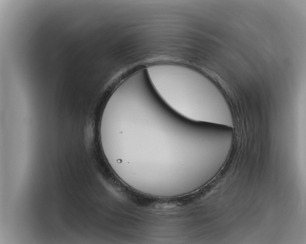 X0000116340208200912011025