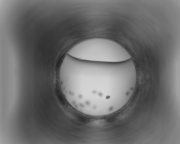 X0000116340210200912011025