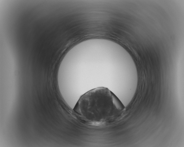 X0000116340212200912011025