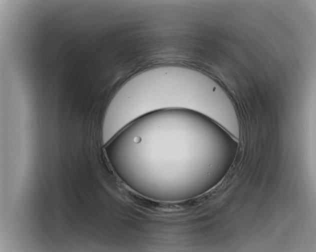 X0000116340215200912011025