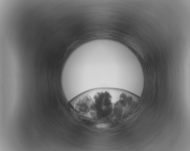 X0000116340216200912011025
