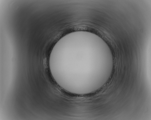 X0000116340224200912011025