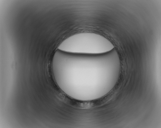 X0000116340225200912011025