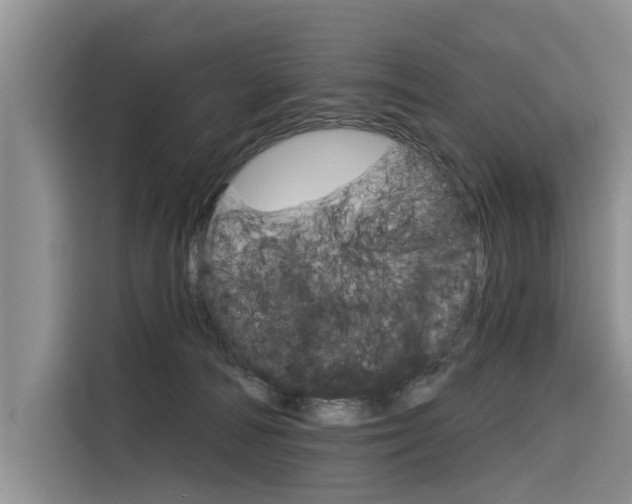 X0000116340226200912011025