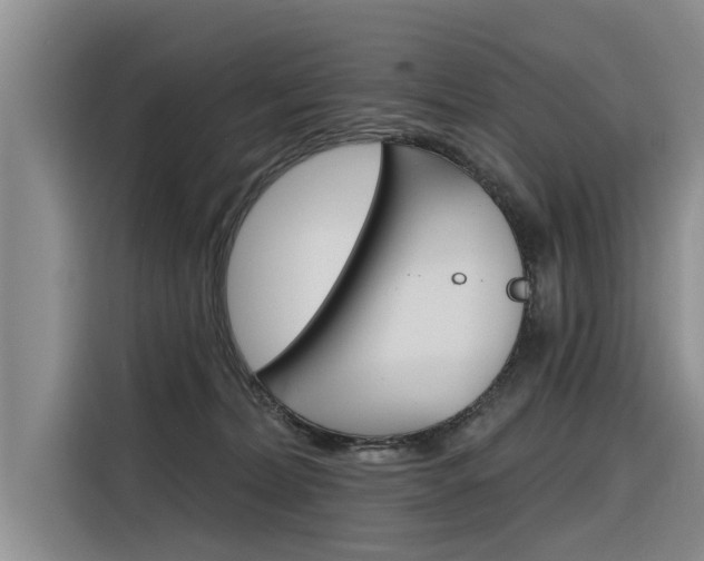 X0000116340228200912011025