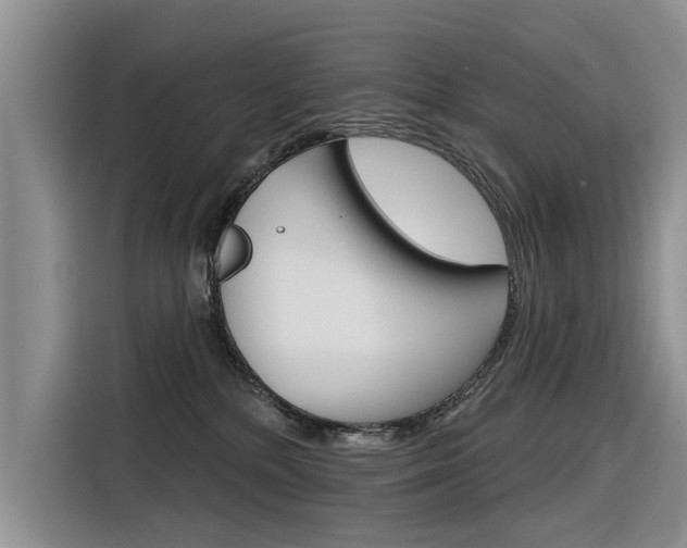 X0000116340232200912011024