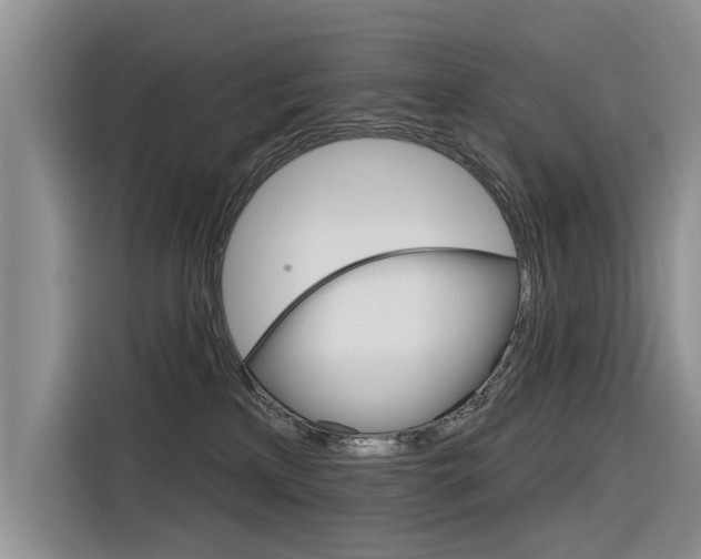 X0000116340233200912011024