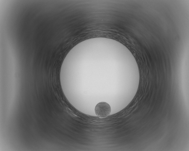 X0000116340235200912011024