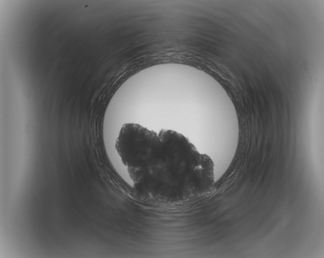 X0000116340236200912011024