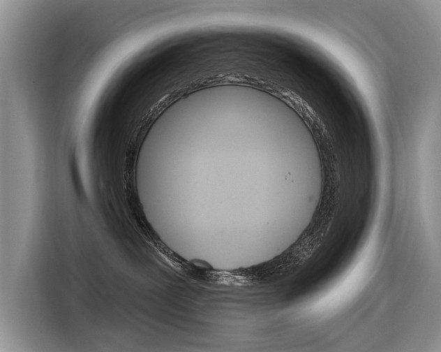 X0000116340239200912011024