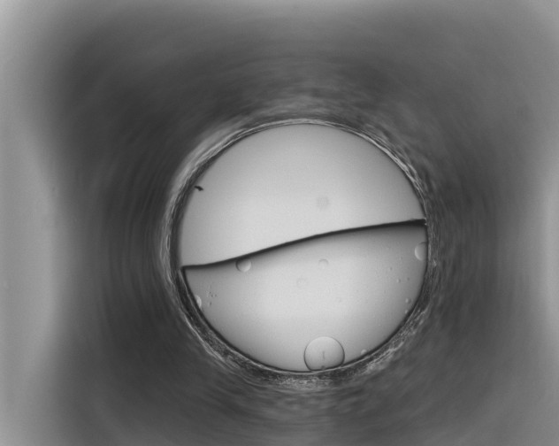 X0000116340245200912011024