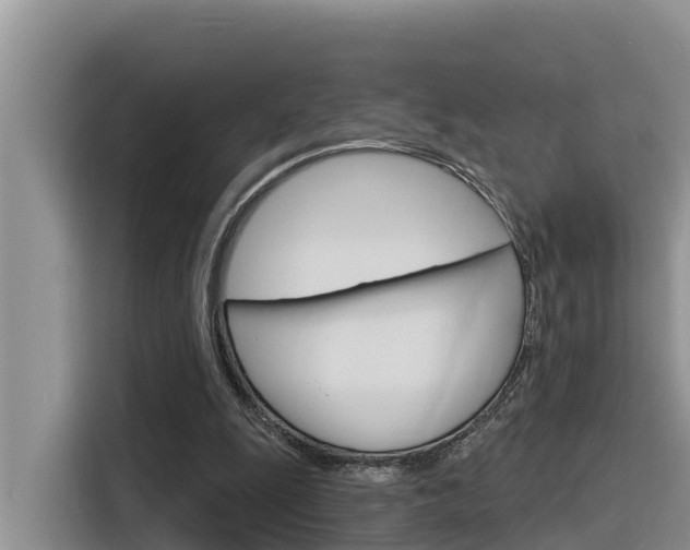 X0000116340247200912011024